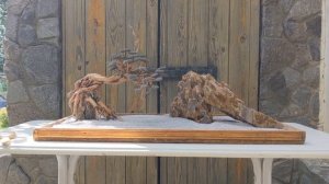 Создание дизайна аквариума под заказ на 140 литров. Бонсай + камни для аквариума