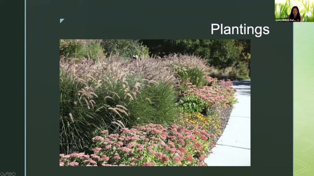 Garden Class Landscape Design - LiveDAYBREAK