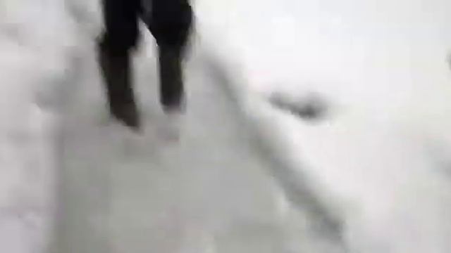 Попали в наледь смотреть онлайн