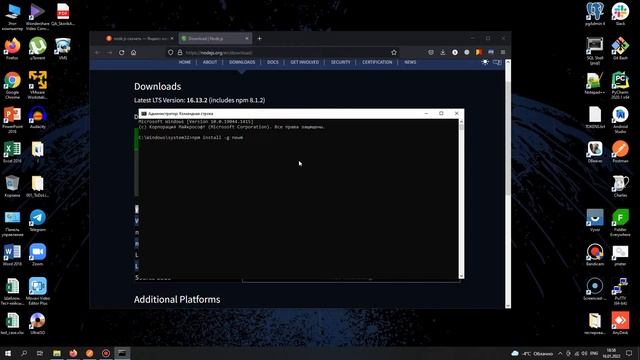 Установка Newman и запуск тестов из Postman в командной строке