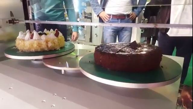 Машина для вертикальной нарезки тортов и бисквитов Danler GRE-400 смотреть онлайн