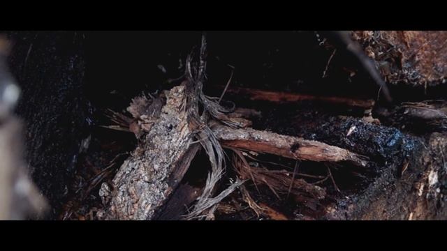 SONY SLT-A37 смотреть онлайн