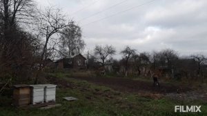 Приживутся ли пчелы на участке с ЛЭП?