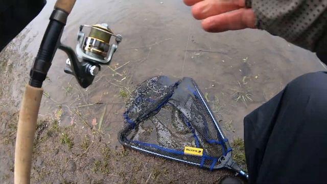 GULP Trout Powerbait Trout Fishing Tips & Review (DOES IT CATCH 55% MORE TROUT???) смотреть онлайн