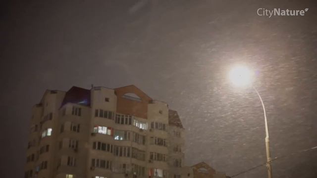 Рекомендации Citynature.ru по транспортировке косметики смотреть онлайн