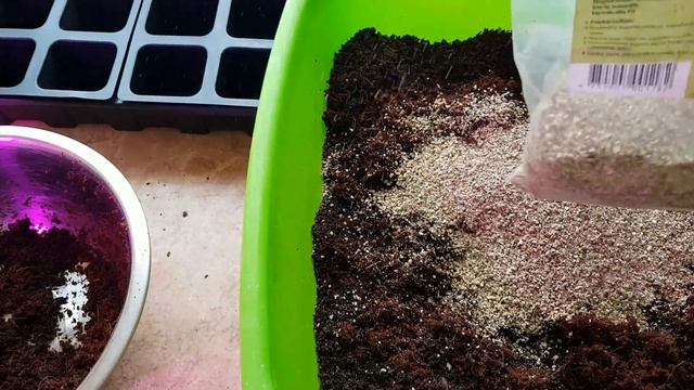 ЛУЧШИЙ ГРУНТ ДЛЯ ПОСЕВА ПЕТУНИИ смотреть онлайн