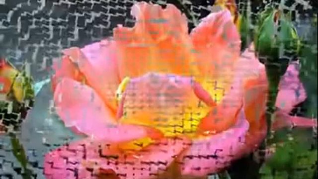 ЧТО  ТАКОЕ  ЖИЗНЬ ...