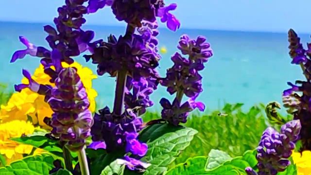 #ДЫШИ #ЭТОТ #ПЬЯНЯЩИЙ #КОКТЕЙЛЬ #БЛАГОУХАНИЙ смотреть онлайн