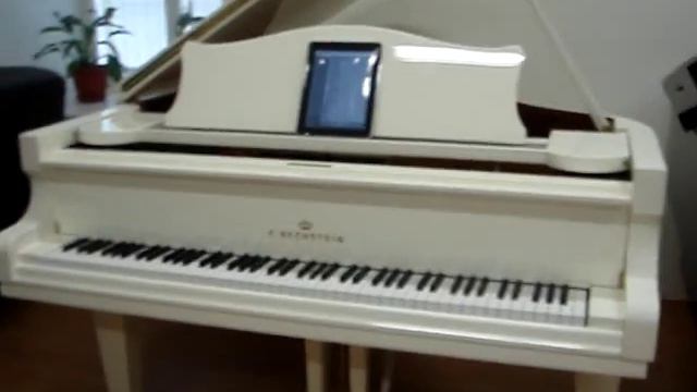 Самоиграющий рояль C.Bechstein L-167 смотреть онлайн