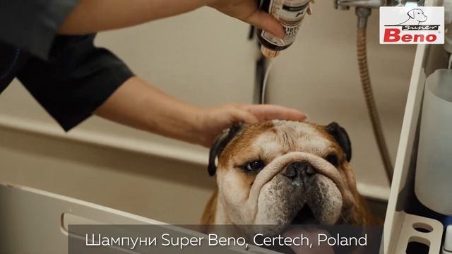 шампуни Super Beno грумингсалон Минск