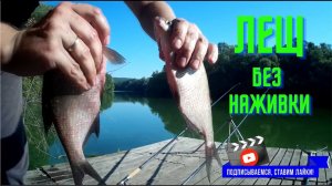 Лещ без наживки.  Чудо снасть.