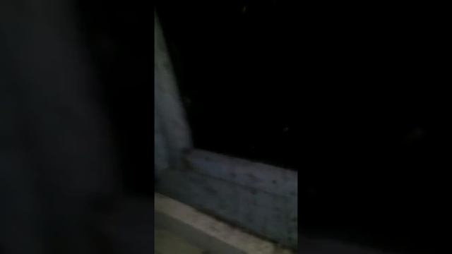 Это не реально, зимой мыши литучьи атакуют смотреть онлайн
