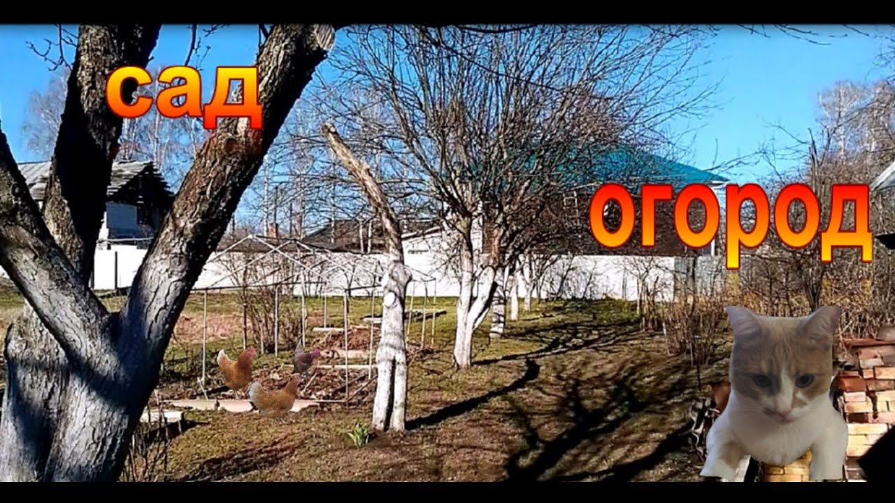 Сад, огород Первые весенние работы! смотреть онлайн
