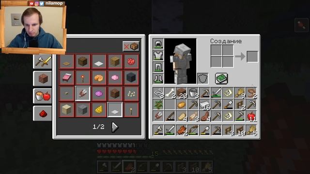 МОЯ ПЕРВАЯ ЛОШАДЬ В МАЙНКРАФТ | MINECRAFT #10 смотреть онлайн