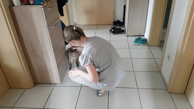 Германия. ВЛОГ: В пятницу перед пасхой / внуки в гостях смотреть онлайн