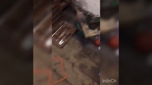 Быстрая Замена помпы без снятия шкивов и ремня Пассат б3/passat b3