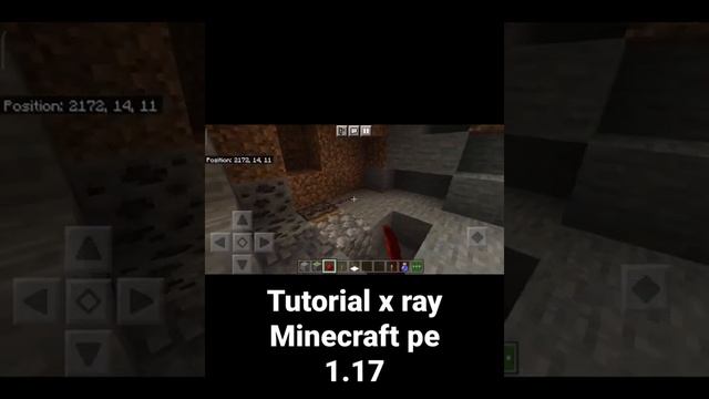 Tutorial x ray Minecraft pe 1.17 #shorts смотреть онлайн