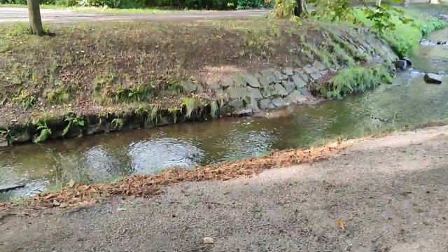 Вместо школы попала в зоопарк #youtube #youtubevideo #video смотреть онлайн