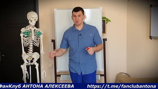 Самая важная мышца поясницы Почему я украл упражнения у доктора Шишонина смотреть онлайн