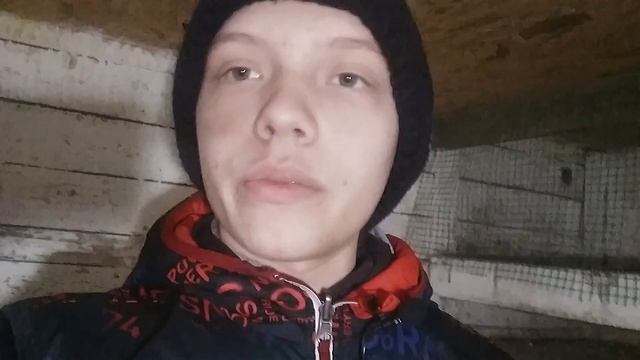 Готовим наших кур к зиме/Витамины для кур несушек смотреть онлайн