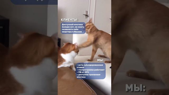 Несмотря на ипотечные трудности на рынке, мы всегда найдем крутые способы покупки недвижимости. смотреть онлайн