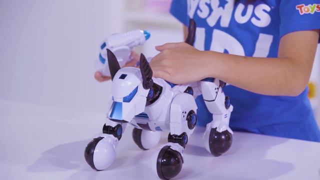Rastar Intelligent Dogo