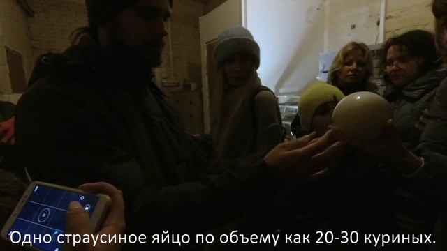 Как выращивают русских страусов смотреть онлайн