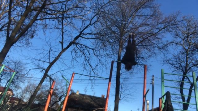 Это Мои САМЫЕ БЫСТРЫЕ ПРОСТЫЕ Тренировки на Турнике и Брусьях (Статика + Динамика + База) смотреть онлайн