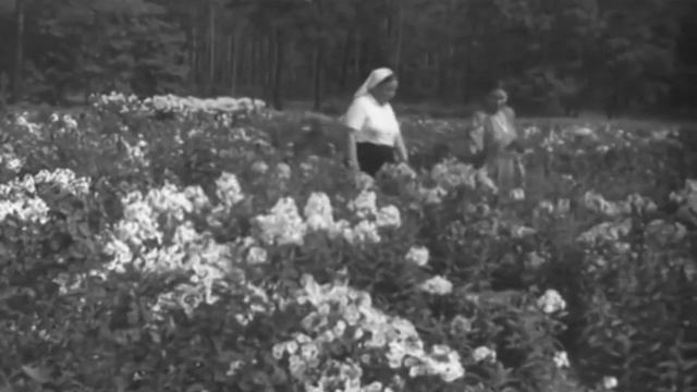 На окраинах Москвы. ЦСДФ, 1953г. смотреть онлайн