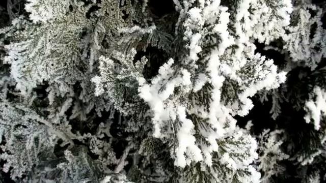 г.Ливны...Зима-зима красавица смотреть онлайн