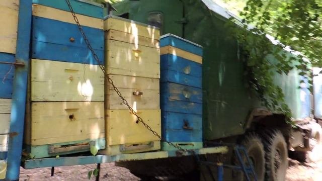 Перевозка пасеки в горы БОЛЬШИЕ колеса Плавнее ход..... смотреть онлайн