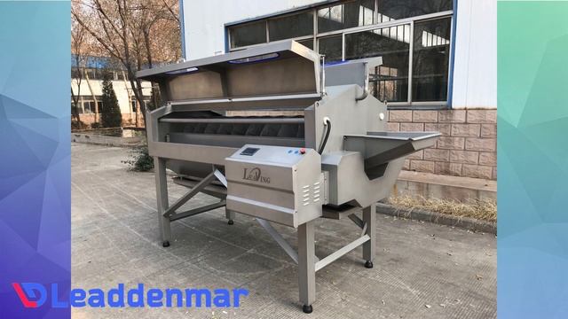 Моечно-очистительная машина со шнеком Leaddenmar для мытья и очистки корнеплодов и других овощей смотреть онлайн
