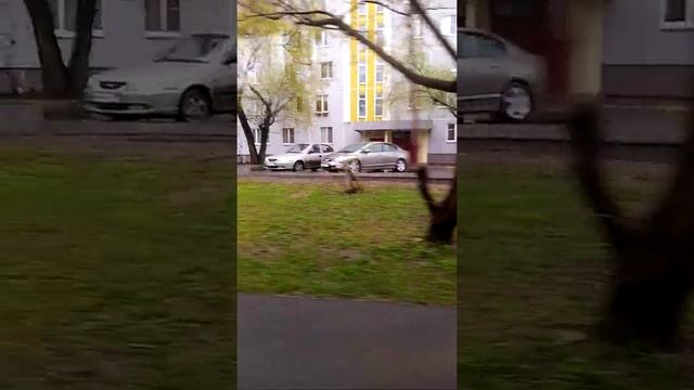 Поездка на автобусе 23 от остановки метро отрадное до остановки дом творчества. смотреть онлайн
