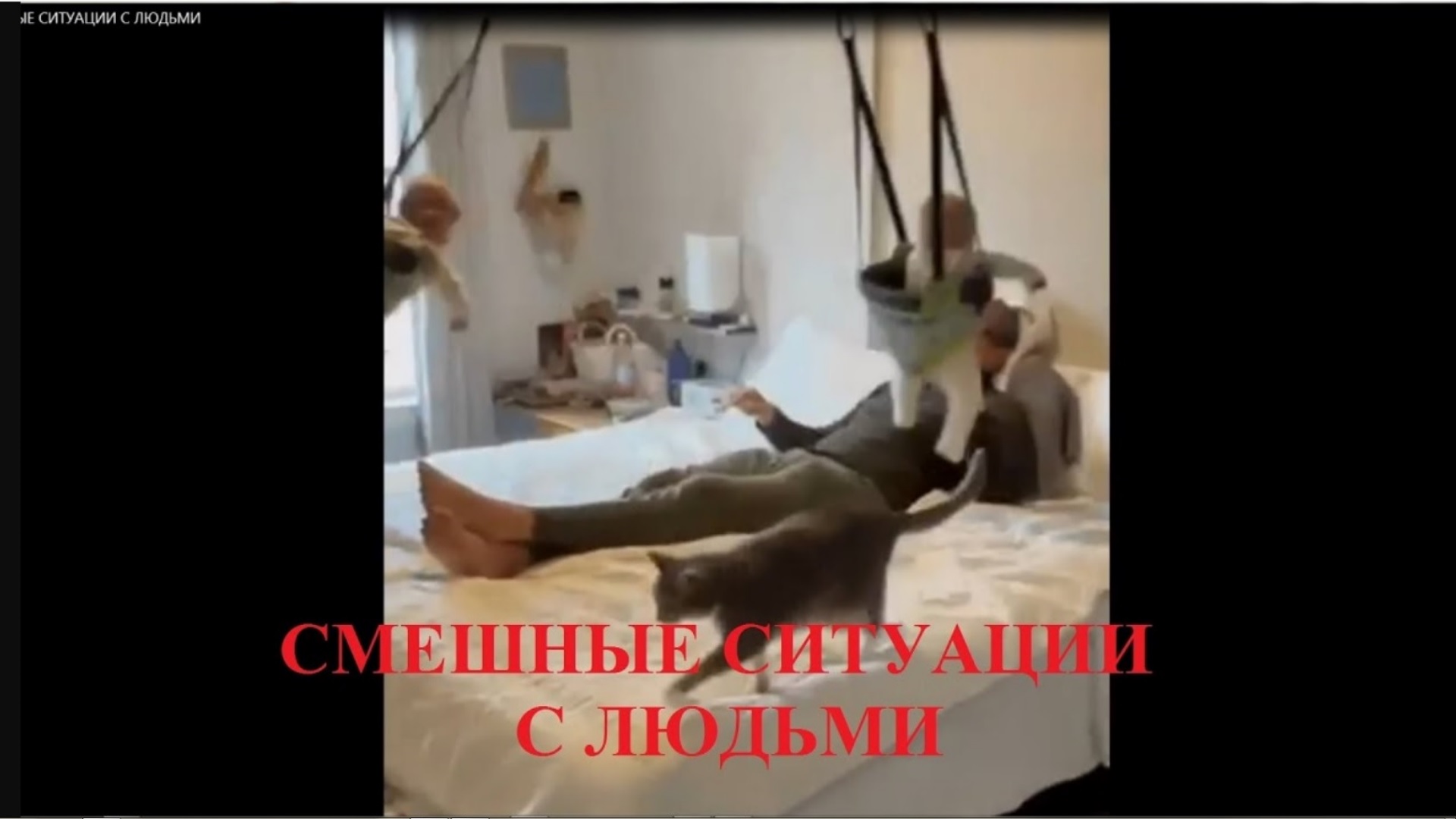 СМЕШНЫЕ СИТУАЦИИ С ЛЮДЬМИ! ПРИКОЛЬЧИКИ смотреть онлайн