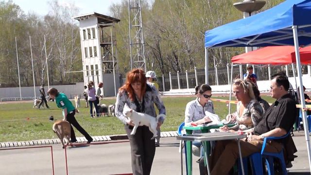 Выставка собак 10 мая Челябинск Кубок Хэлси смотреть онлайн