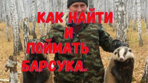 Как найти и поймать барсука