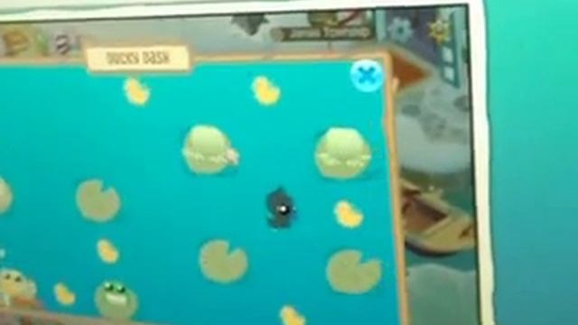 How to master ducky dash on animal jam смотреть онлайн