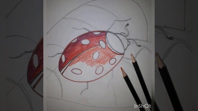 ЦДЮТ изостудия. Тема ,, Божья коровка - рисунок цветными карандашами,,