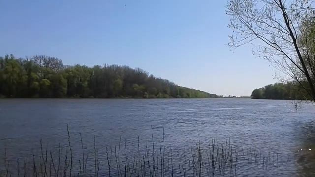 Река Десна в апреле смотреть онлайн