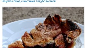 МАГОНИЯ ПАДУБОЛИСТНАЯ.  В ЧЁМ ПРЕЛЕСТЬ ЯГОД МАГОНИИ!?