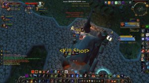 Survival Hunt Wotlk 3.3.5 soloq arena 2