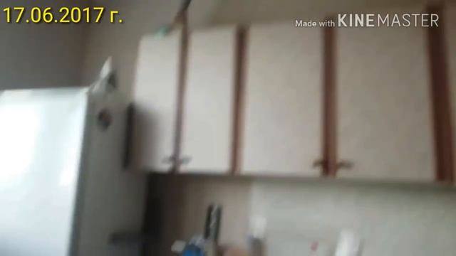 День рождения Вовчика в 2017 году.