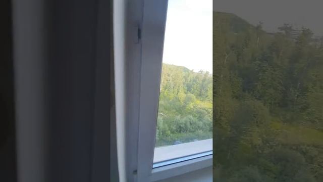 Продажа 4 комнт кв Химки, Совхозная 29 смотреть онлайн