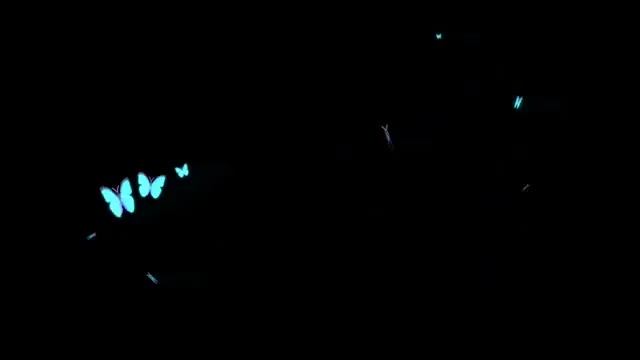 Butterfly Animation Free (Black Screen) смотреть онлайн