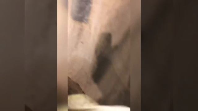 Ниссан кашкай , диагностика ходовой 140 тысяч пробега , слабые места ниссана смотреть онлайн