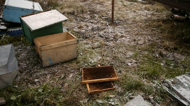 Как правильно хранить сушь без сотохранилища. Варианты хранения рамок на пасеке. Как хранить сушь смотреть онлайн