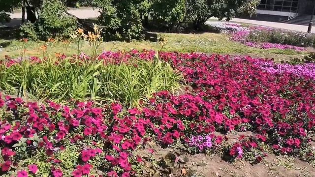Нижний Новгород. 800 лет. смотреть онлайн