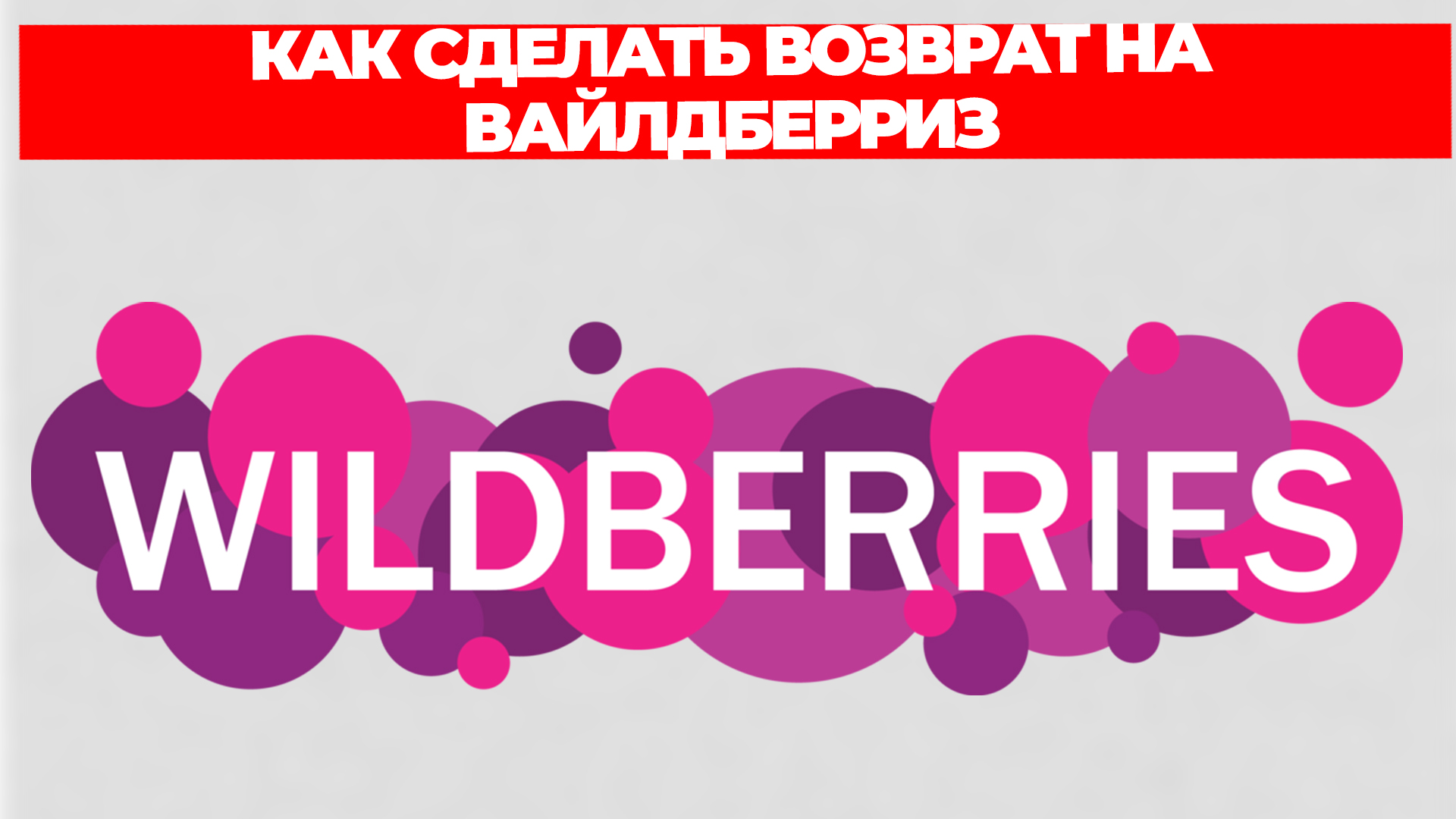 Всезнающий Енот