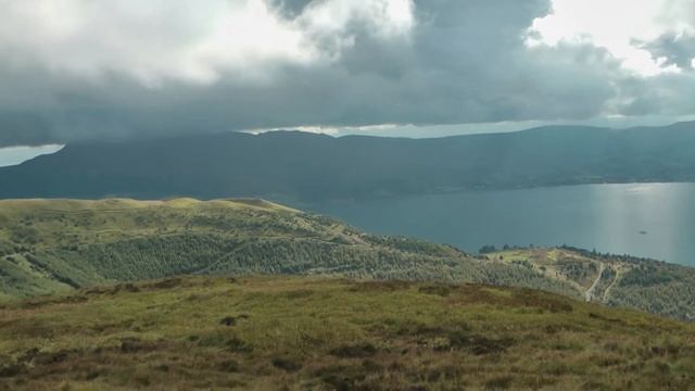 Rostrevor forest смотреть онлайн