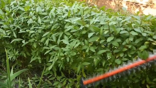 Обзор аккумуляторных ножниц STIHL HSA 45 (мотоножницы штиль) смотреть онлайн